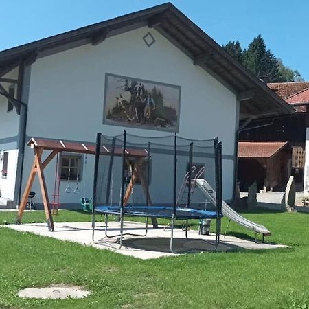 Ferienwohnung Im Bayerischen Wald Mit Terrasse Viechtach Esterno foto