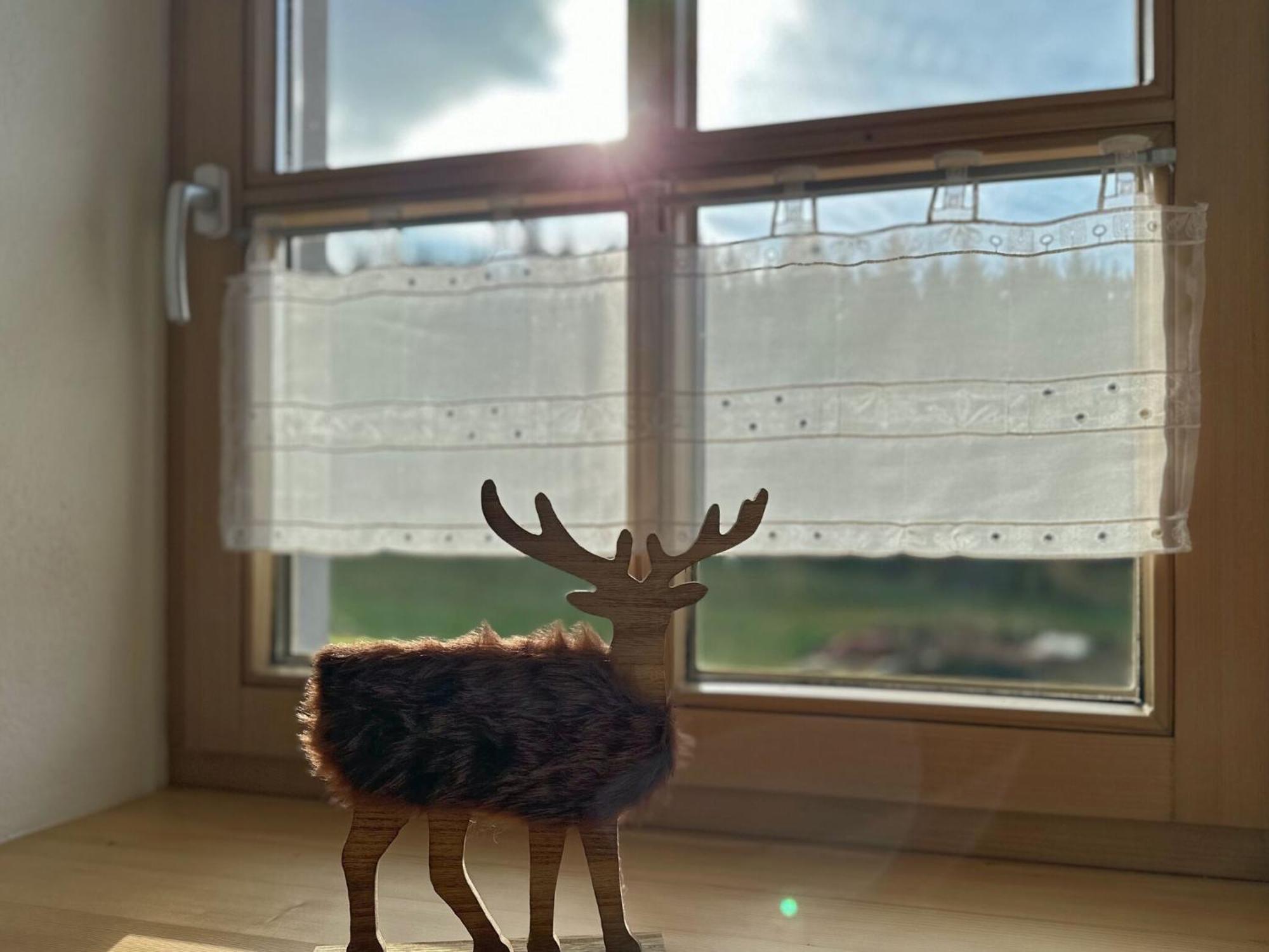 Ferienwohnung Im Bayerischen Wald Mit Terrasse Viechtach Esterno foto