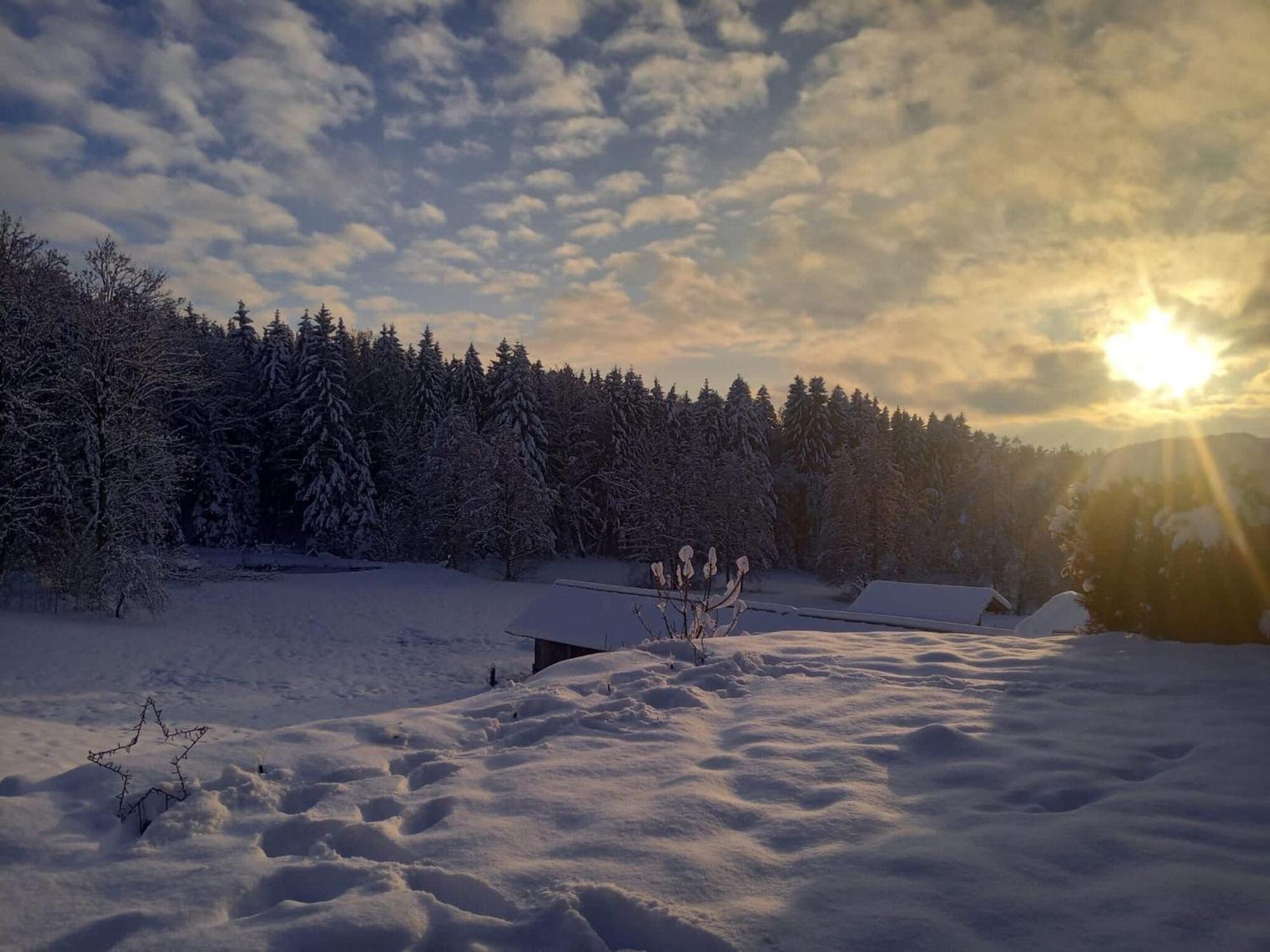 Ferienwohnung Im Bayerischen Wald Mit Terrasse Viechtach Esterno foto