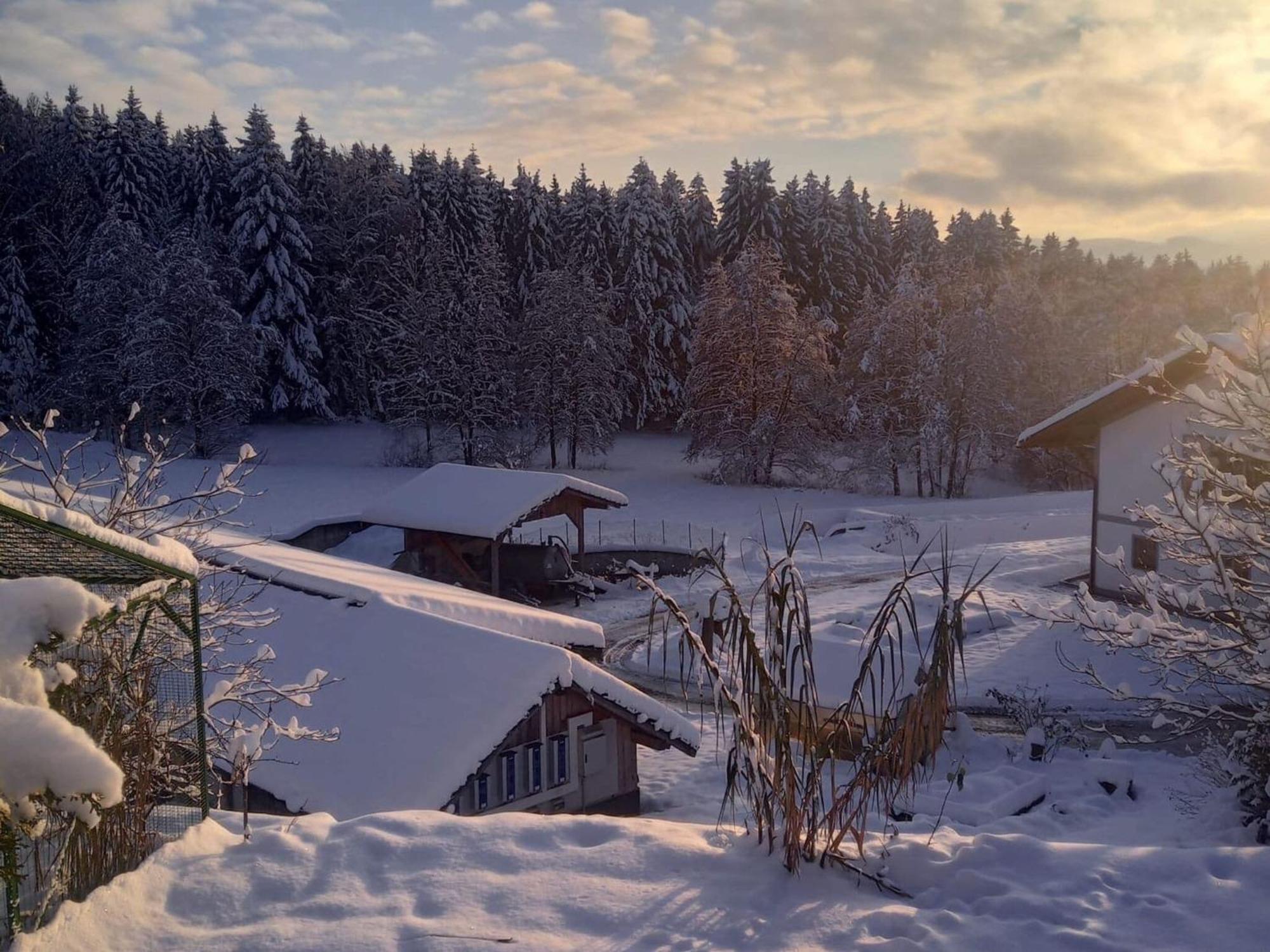 Ferienwohnung Im Bayerischen Wald Mit Terrasse Viechtach Esterno foto